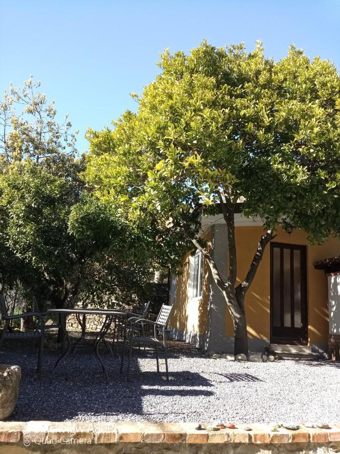 Agriturismo Ardissone Thomas Borganzo Kültér fotó